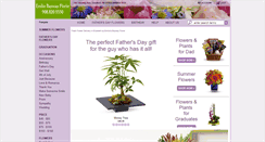 Desktop Screenshot of emiliosbaywayflorist.com